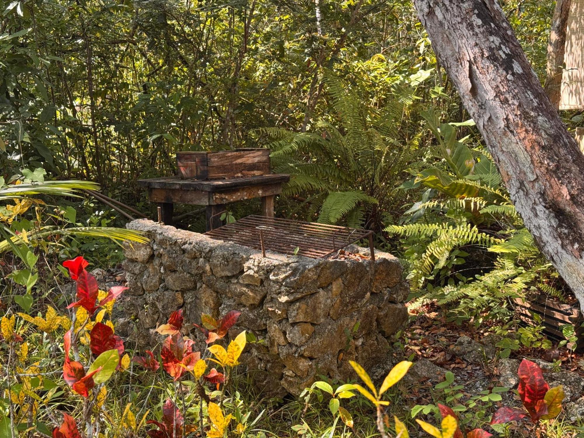 Finca Tatin Hotel Izabal Exterior photo