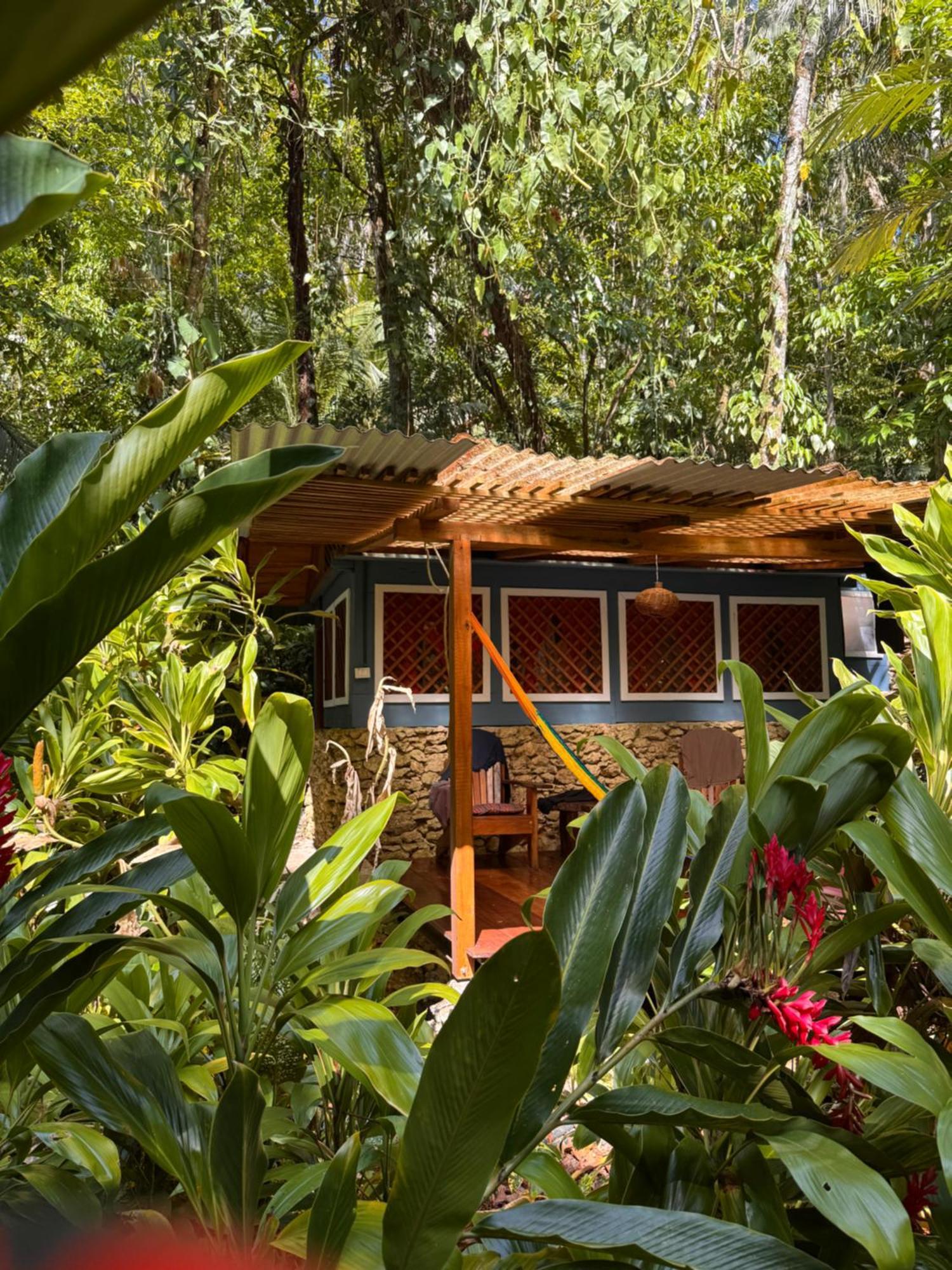 Finca Tatin Hotel Izabal Exterior photo